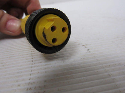 Lumberg RK 30-685/30FT Control Cable 3-Pin
