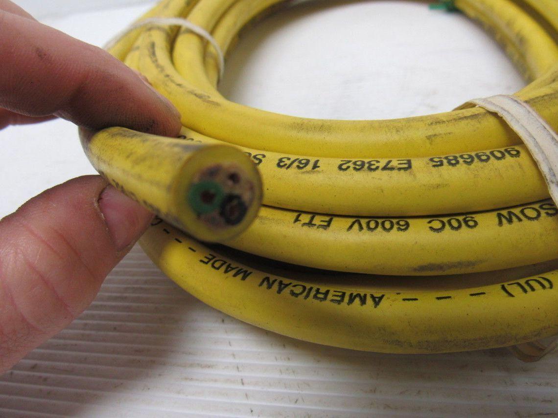 Lumberg RK 30-685/30FT Control Cable 3-Pin