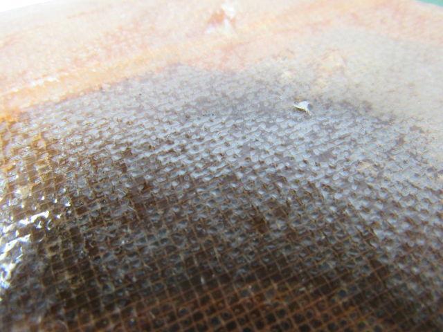 Flowserve 27-6-17 6" Thrust Collar 2.125" Bore