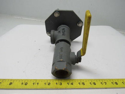 B38848-01 IDD-II Flame Detector Direct Mount Assembly W/Isolation Valve 1" NPT