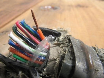 36 Conductor Copper Wire Cable .032" Conductor Size w/o Insulation 709Ft