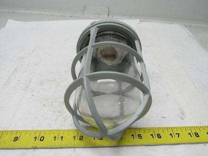 Appleton VU-100 V-51 Fixture Unit. Socket, Globe & Guard, Clear Mixed Lot/2