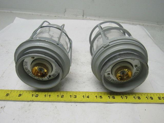 Appleton VU-100 V-51 Fixture Unit. Socket, Globe & Guard, Clear Mixed Lot/2