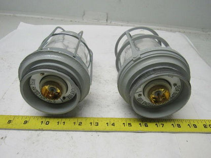 Appleton VU-100 V-51 Fixture Unit. Socket, Globe & Guard, Clear Mixed Lot/2