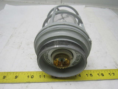 Appleton VU-100 V-51 Fixture Unit. Socket, Globe & Guard, Clear Mixed Lot/2