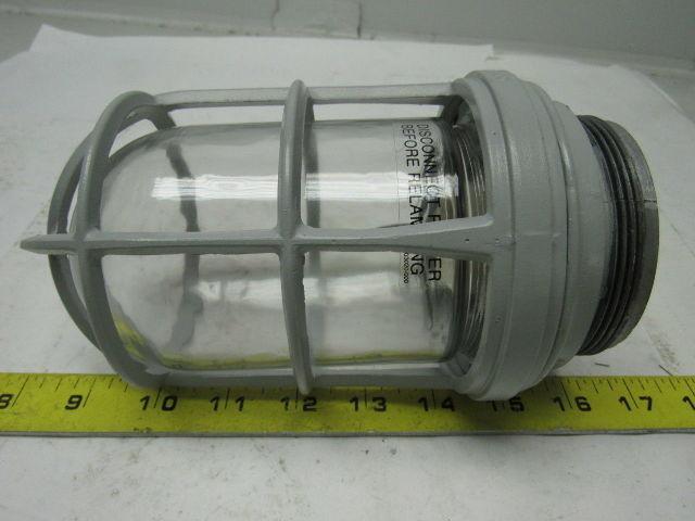 Appleton VU-100 V-51 Fixture Unit. Socket, Globe & Guard, Clear Mixed Lot/2