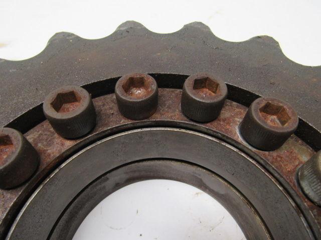 MARTIN D120B19 Double Strand 19 Tooth #120-2x1-1/2"