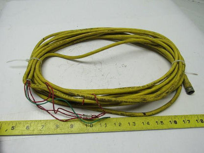 A-B Allen Bradley 889R-F4AEA-10 Ser. A AC Micro QD / M12 Cordset Straight Female
