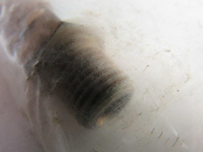 Mack Truck 4720-00-512-1940 Hose Assembly 0.312" ID 12" Length