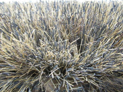 TENANT 28235 26" Main Broom Wire/Fiber New Old Stock
