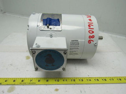 Leeson Electric C6T17VC1J 3/4 HP 3PH 1725RPM Electric WashGuard Motor