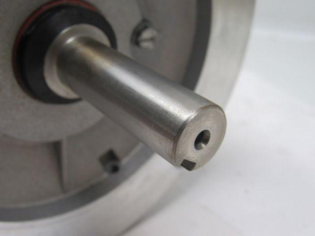 Leeson Electric C6T17VC1J 3/4 HP 3PH 1725RPM Electric WashGuard Motor