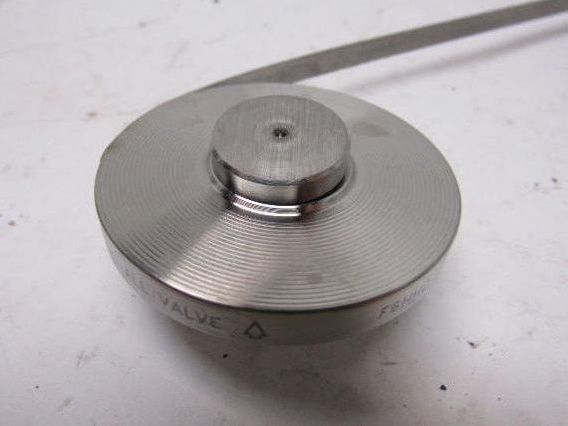 Check-All SV804 Flange Insert Check Valve 1" SS For Chlorine Service