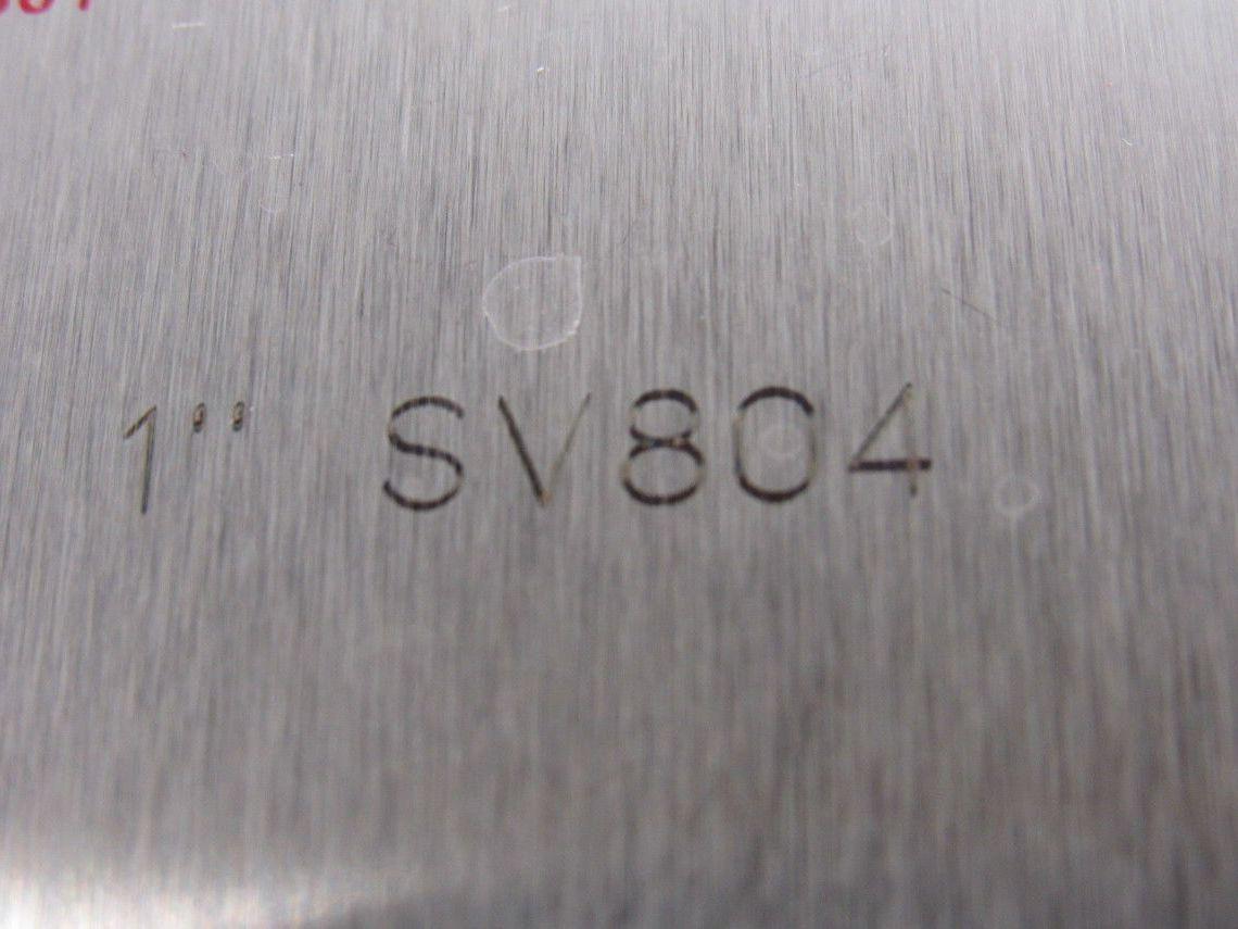 Check-All SV804 Flange Insert Check Valve 1" SS For Chlorine Service