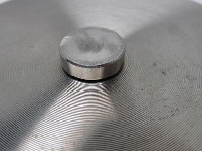 Check-All CAV-5942-A20 Flange Insert Check Valve 3" SS