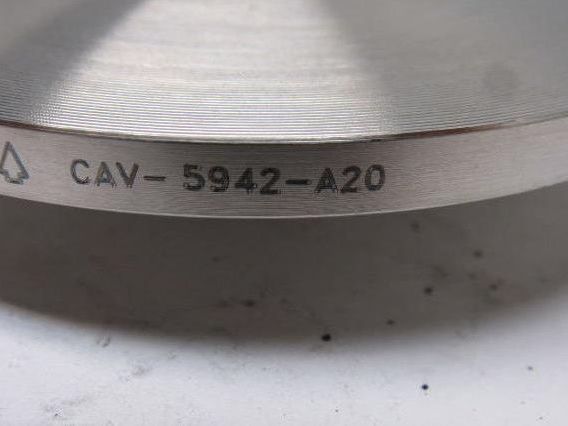 Check-All CAV-5942-A20 Flange Insert Check Valve 3" SS