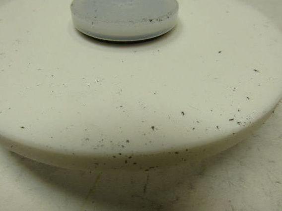Check-All P1V C92BE 5" OD PTFE Lined Nom. Pipe Size 3 Insert Check Valve