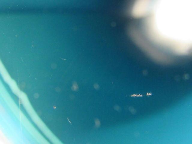 1-Ply Blue Smooth Both Sides Rubber Conveyor Belt 8' X 32" X 0.114"