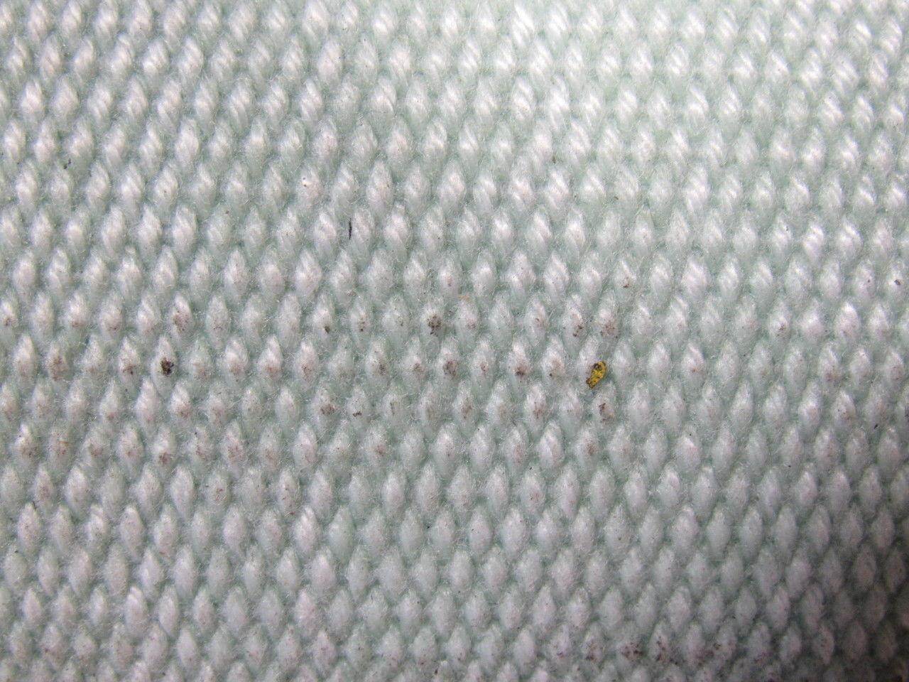 Green Urethane Smooth Top Woven Back Conveyor Belt 14' X 26" X 0.138"