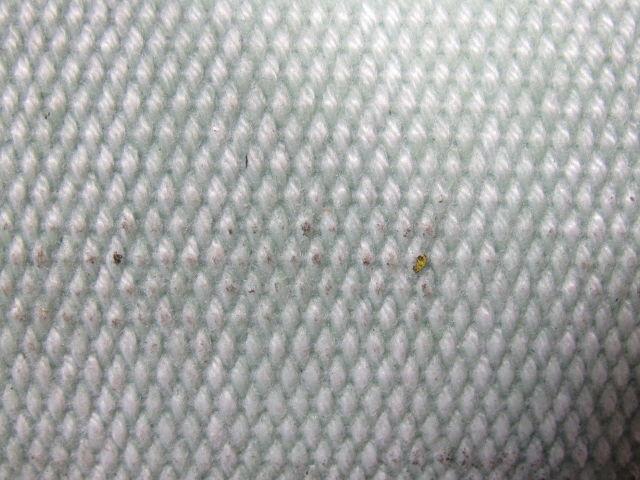 Green Urethane Smooth Top Woven Back Conveyor Belt 14' X 26" X 0.138"