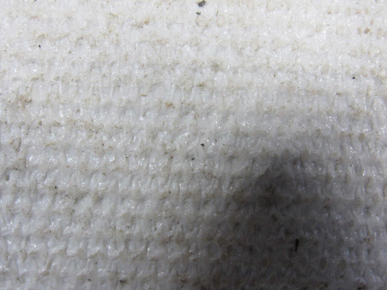 2 Ply White Smooth Top Conveyor Belt 6' X 84-1/8" X 0.150"