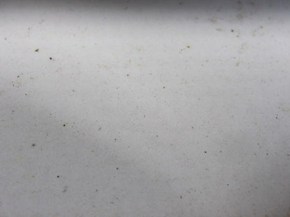 2 Ply White Smooth Top Conveyor Belt 6' X 84-1/8" X 0.150"