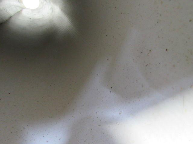 2 Ply White Smooth Top Conveyor Belt 6' X 84-1/8" X 0.150"