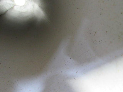 2 Ply White Smooth Top Conveyor Belt 6' X 84-1/8" X 0.150"