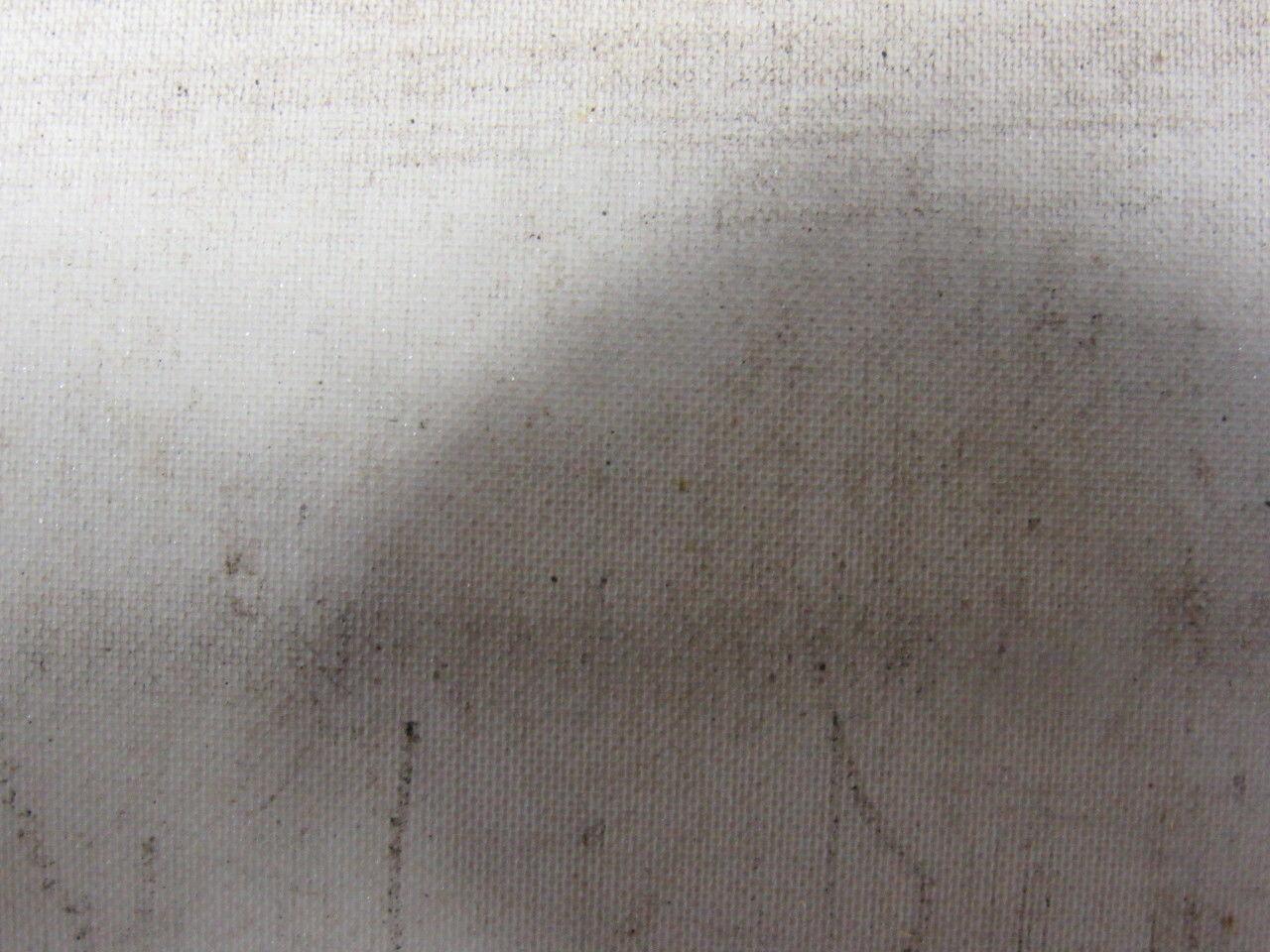 2 Ply White Smooth Top Conveyor Belt 7' X 72-1/2" X 0.125"