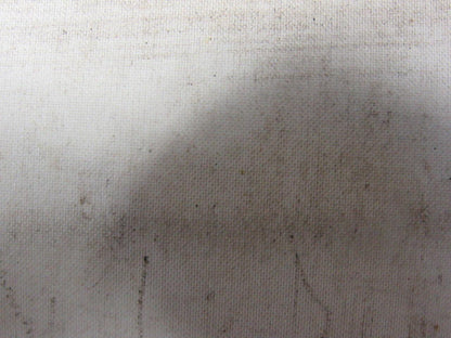 2 Ply White Smooth Top Conveyor Belt 7' X 72-1/2" X 0.125"