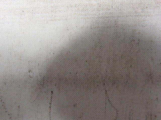 2 Ply White Smooth Top Conveyor Belt 7' X 72-1/2" X 0.125"