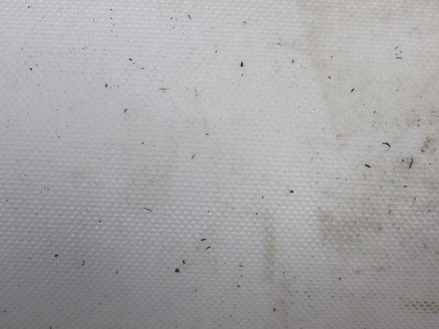 2 Ply White Smooth Top Conveyor Belt 6' X 78-3/4" X 0.79"