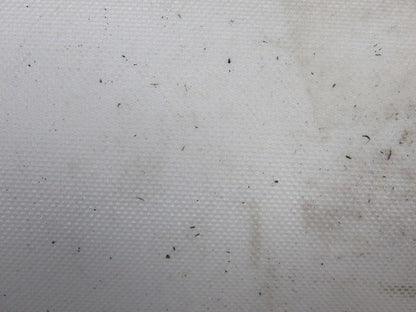 2 Ply White Smooth Top Conveyor Belt 6' X 78-3/4" X 0.79"