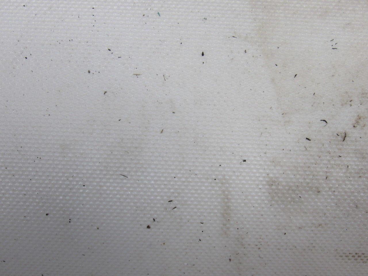 2 Ply White Smooth Top Conveyor Belt 6' X 78-3/4" X 0.79"