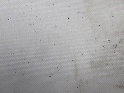 2 Ply White Smooth Top Conveyor Belt 6' X 78-3/4" X 0.79"