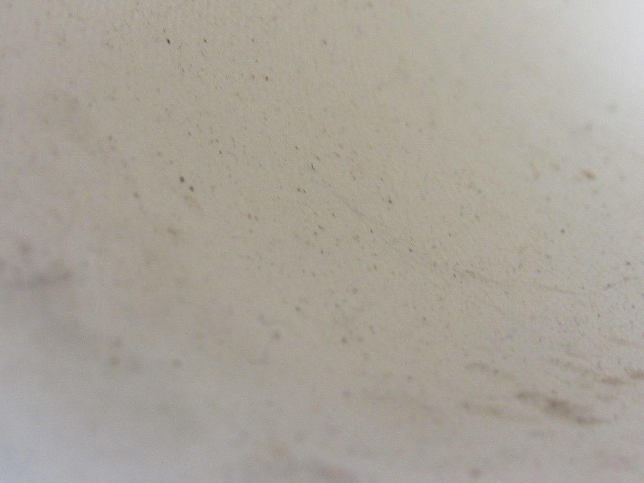 F.E. Sheppard 2W129AE 2 Ply Polyester Woven Silicone  Conveyor Belt 13"X55"