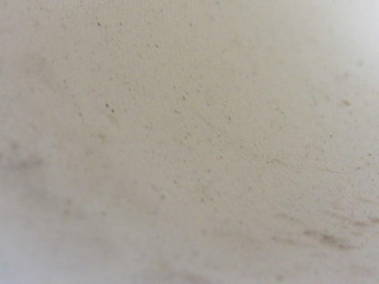 F.E. Sheppard 2W129AE 2 Ply Polyester Woven Silicone  Conveyor Belt 13"X55"