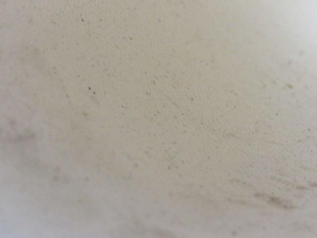 F.E. Sheppard 2W129AE 2 Ply Polyester Woven Silicone  Conveyor Belt 13"X55"