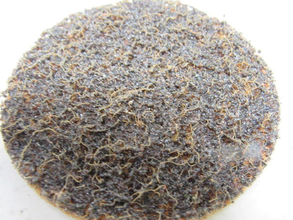 ARC 53413 Type P 3" Surface Conditioning Coarse Grit Quick Lok Disc Lot of 20