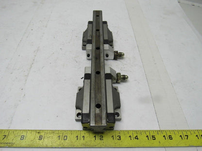 Star 1651-294-20 11-5/8" L Linear Rail W/2 Bearing Block Carriages