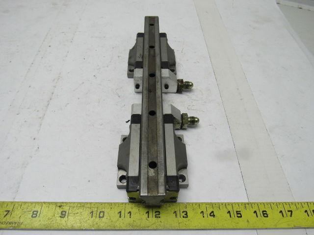 Star 1651-294-20 11-5/8" L Linear Rail W/2 Bearing Block Carriages