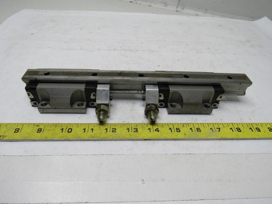 Star 1651-294-20 11-5/8" L Linear Rail W/2 Bearing Block Carriages