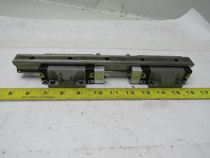 Star 1651-294-20 11-5/8" L Linear Rail W/2 Bearing Block Carriages