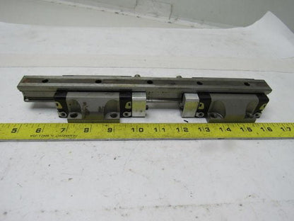 Star 1651-294-20 11-5/8" L Linear Rail W/2 Bearing Block Carriages