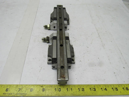 Star 1651-294-20 11-5/8" L Linear Rail W/2 Bearing Block Carriages