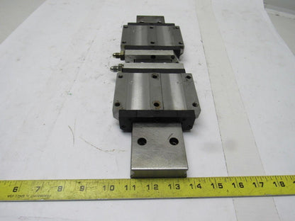 Star 16741 15-5/8" L Linear Rail W/2 Bearing Block Carriages