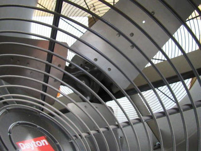 Dayton 1LXN4 30" Industrial Air Circulator Fan 10,600 cfm 115V