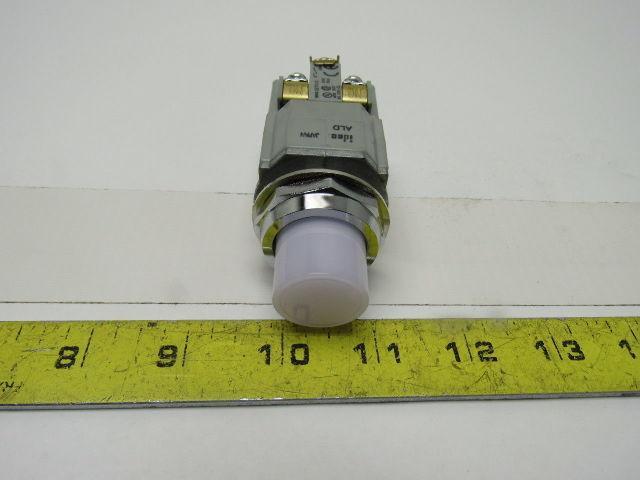 Idec BST010 600V Momentary Contact Push Button Pilot Light White LED 30mm