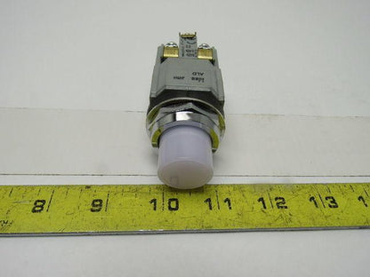 Idec BST010 600V Momentary Contact Push Button Pilot Light White LED 30mm