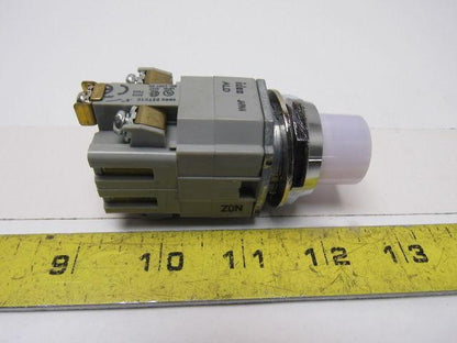 Idec BST010 600V Momentary Contact Push Button Pilot Light White LED 30mm